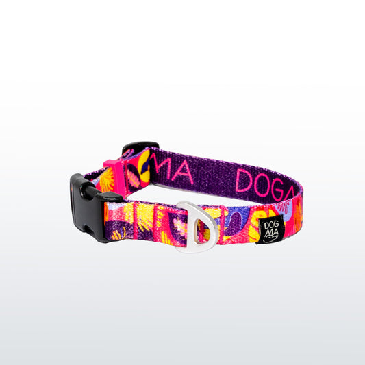 Dog Collar Tropical