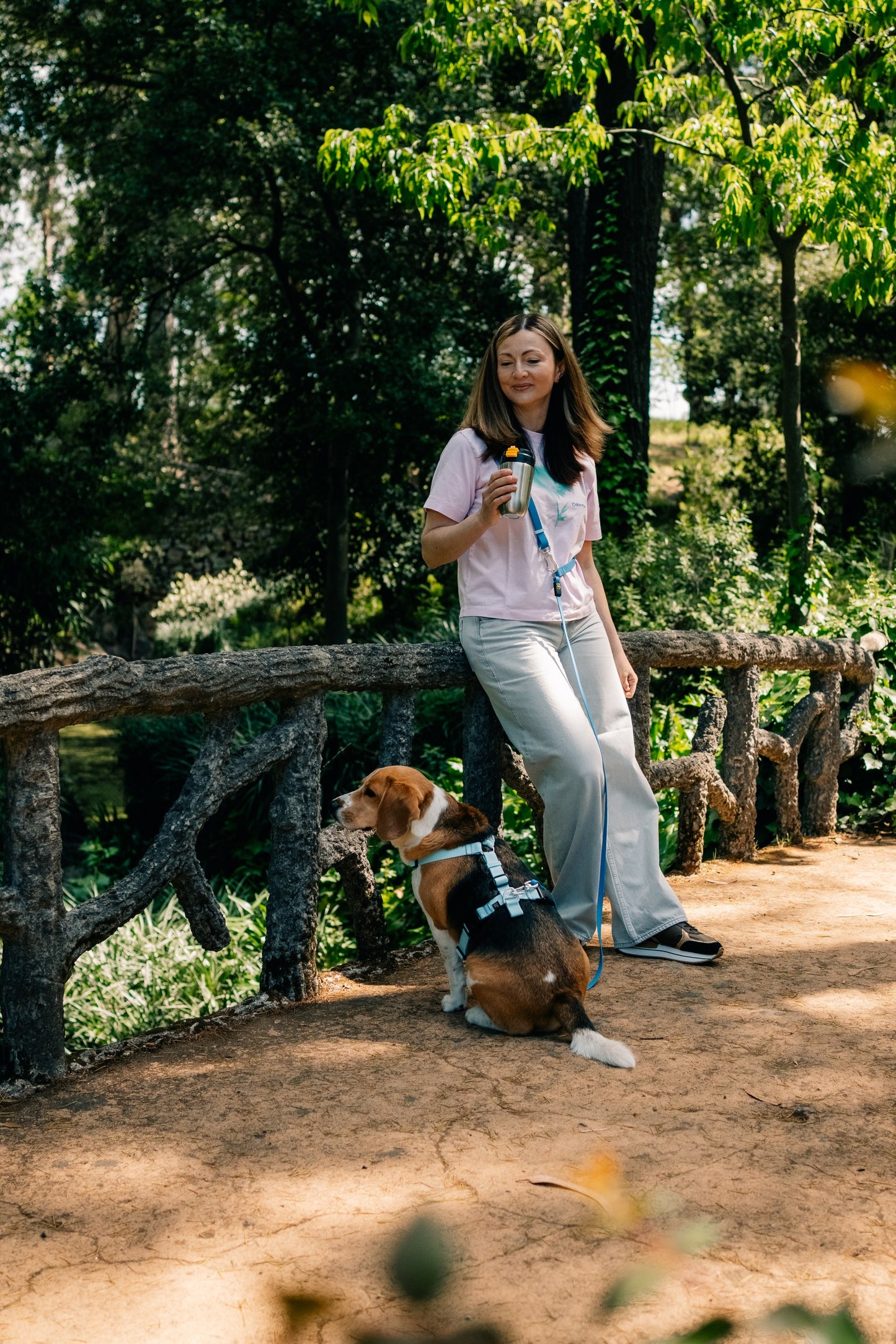 Arnês em Y Blue Lagoon - Arnês Anatómico para Cães