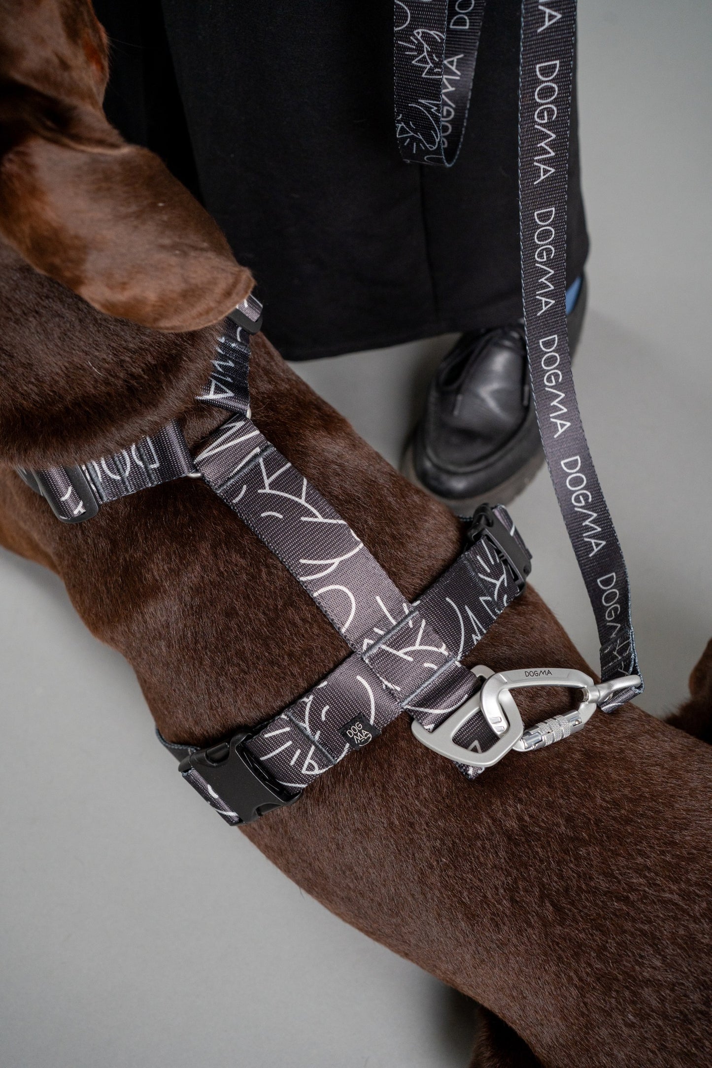 Y-Harness Dark Mode- Anatomical Dog Harness