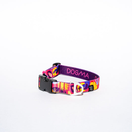 Colorful dog collar with a brand name on a white background