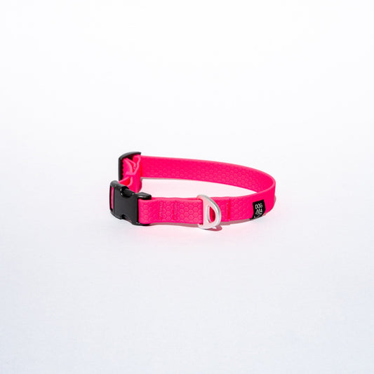 Pink dog collar with a black buckle on a white background
