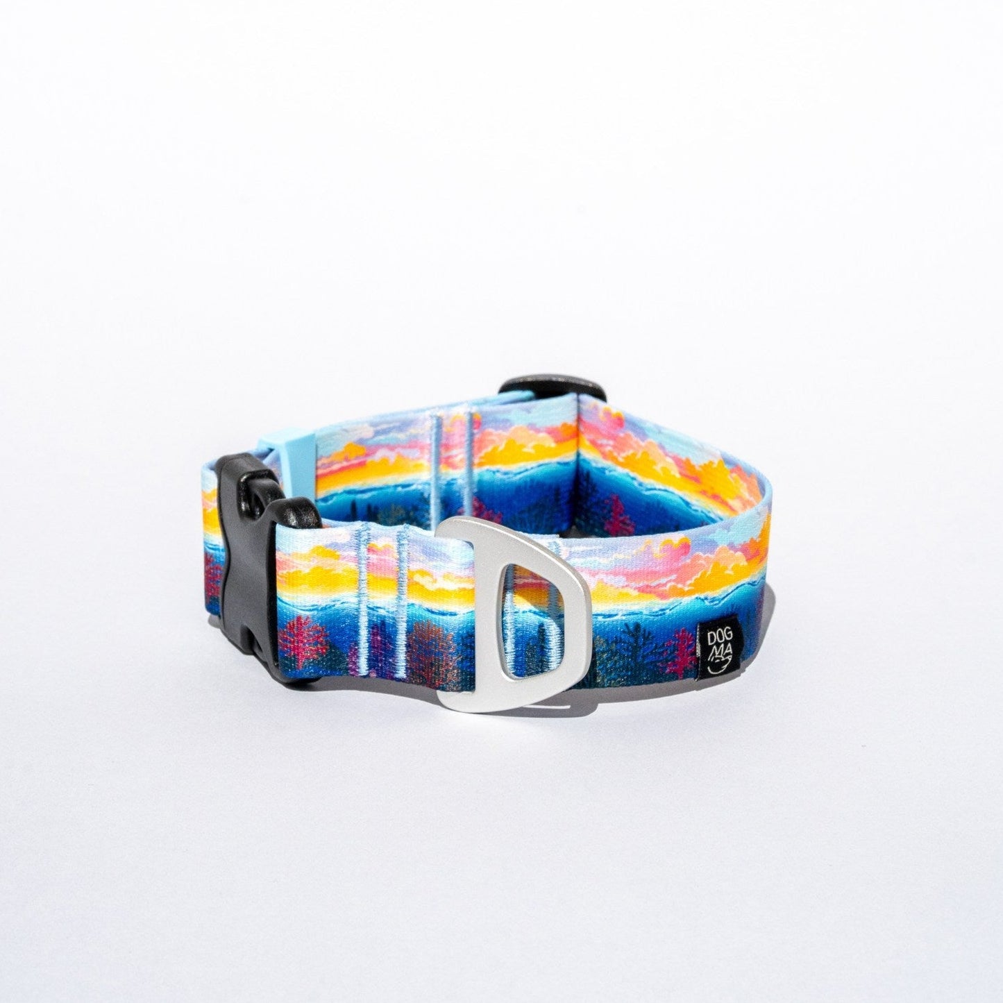 Colorful dog collar with a white background