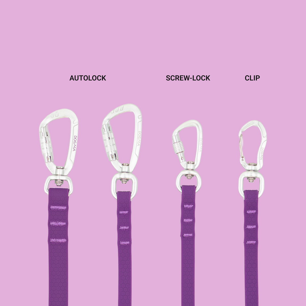 Hands-Free Hybrid Leash - Crazy Leopard