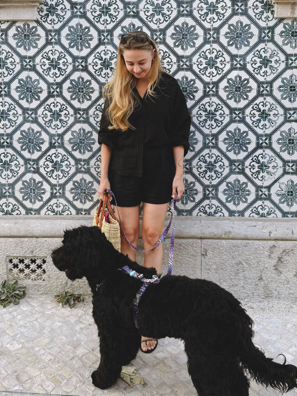 Y-Harness Crazy Leopard - Anatomical Dog Harness