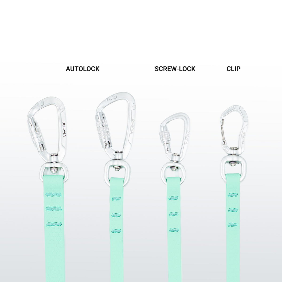 Laisse mains libres Hexa - Caribian Green
