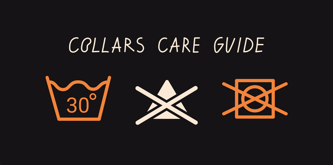 Care Instructions: Keeping Your DOGMA Collars in Perfect Condition