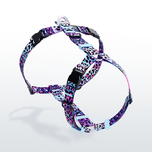 Crazy Leopard anatomical Y-harness with neck buckle and 25 mm webbing