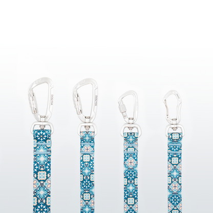 Dog Leash - Tiles
