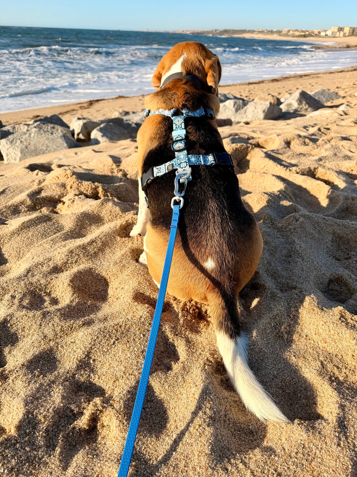 Y-Harness Tiles - Anatomical Dog Harness