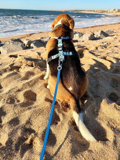 Y-Harness Tiles - Anatomical Dog Harness