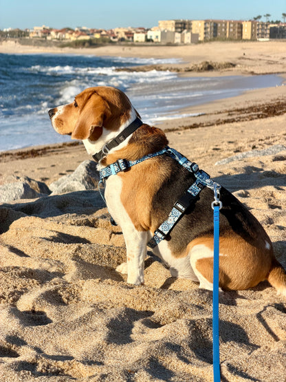 Y-Harness Tiles - Anatomical Dog Harness