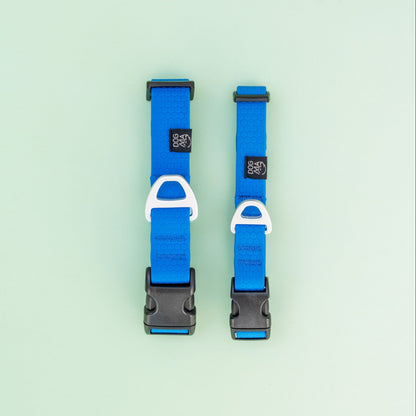 Two blue dog collars with black buckles on a light green background