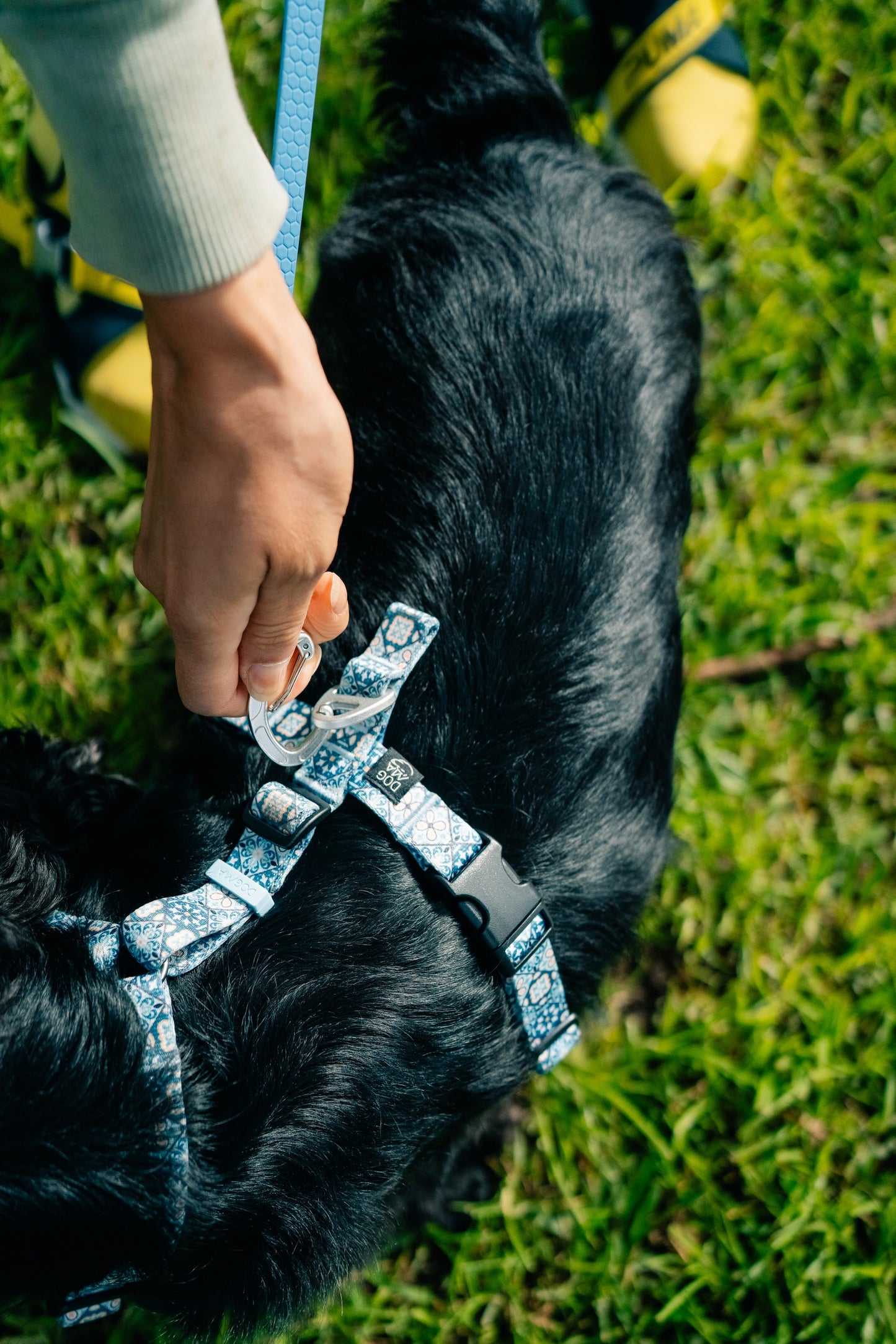 Y-Harness Tiles - Anatomical Dog Harness