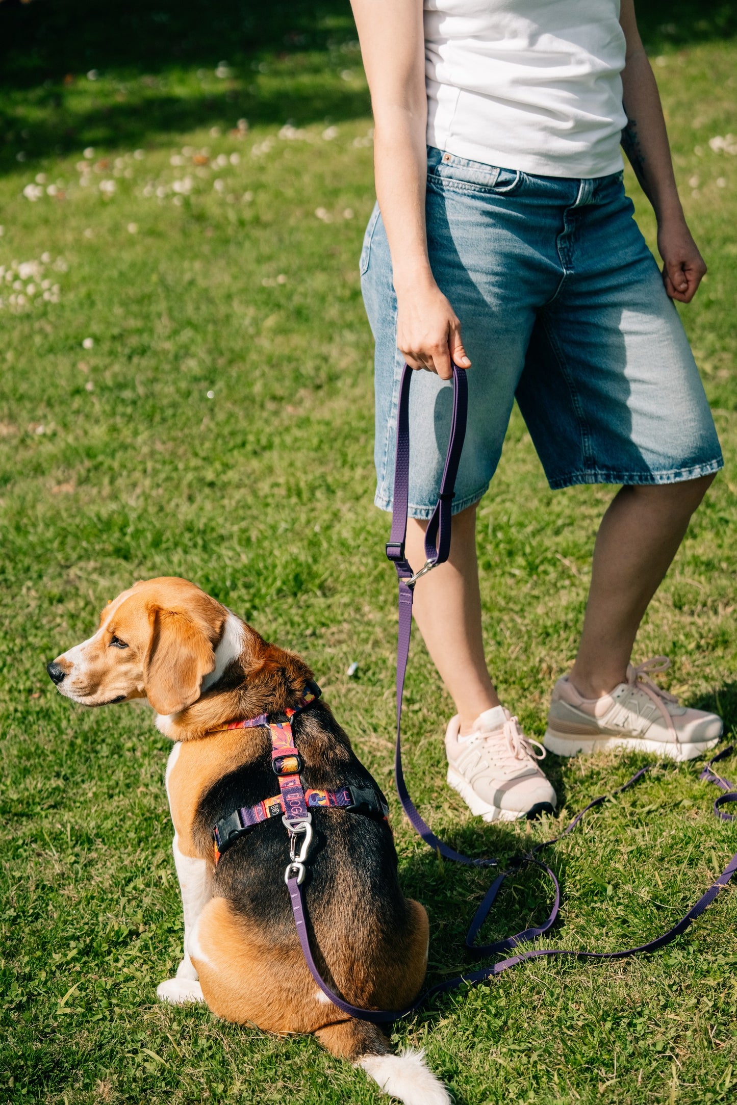 Y-Harness Tropical - Anatomical Dog Harness