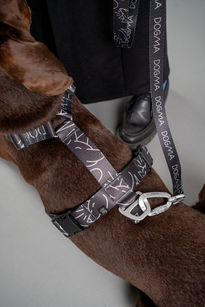 Y-Harness Dark Mode- Anatomical Dog Harness