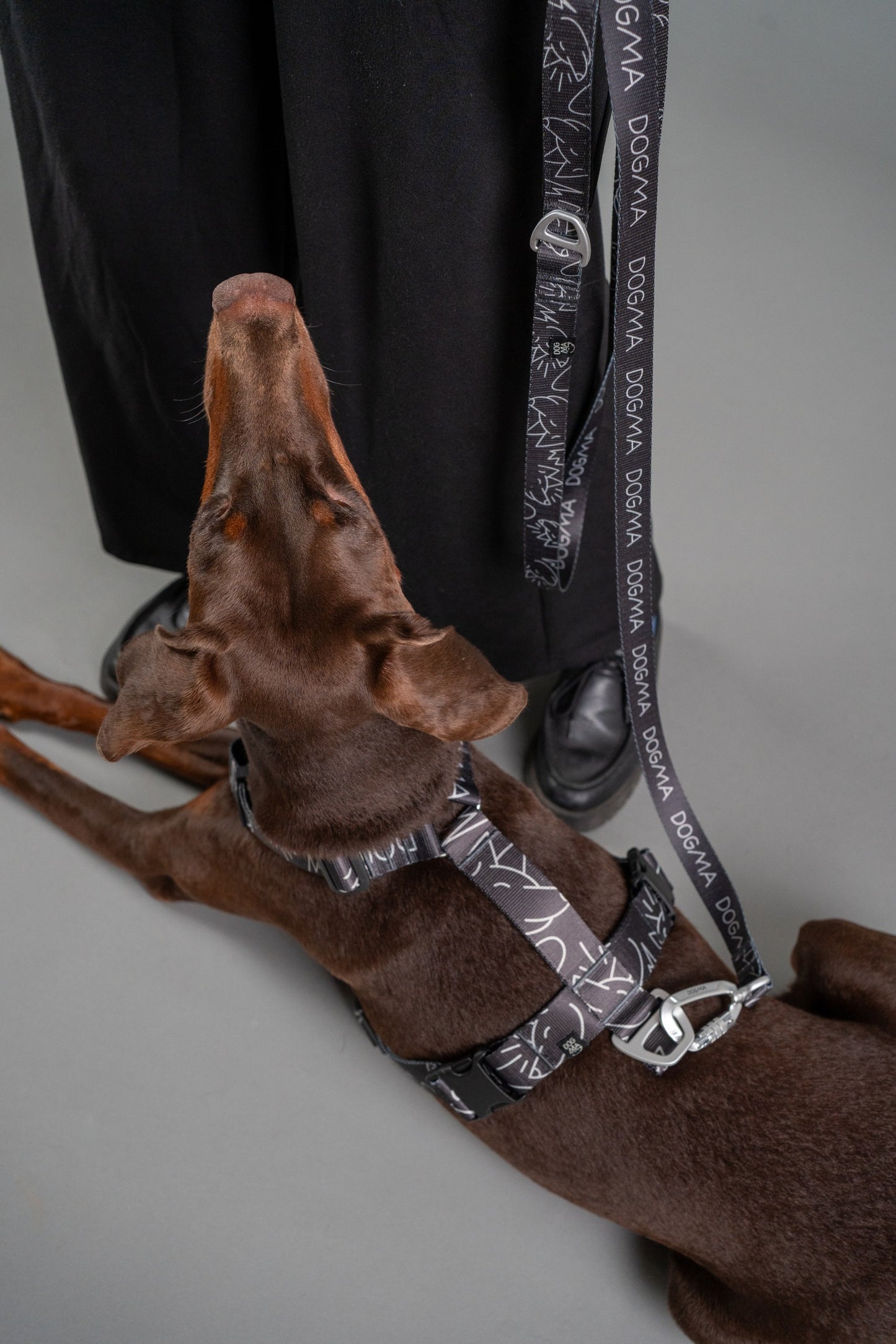 Dog Leash - Dark Mode