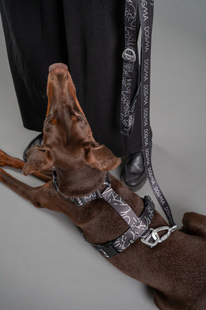 Dog Leash - Dark Mode