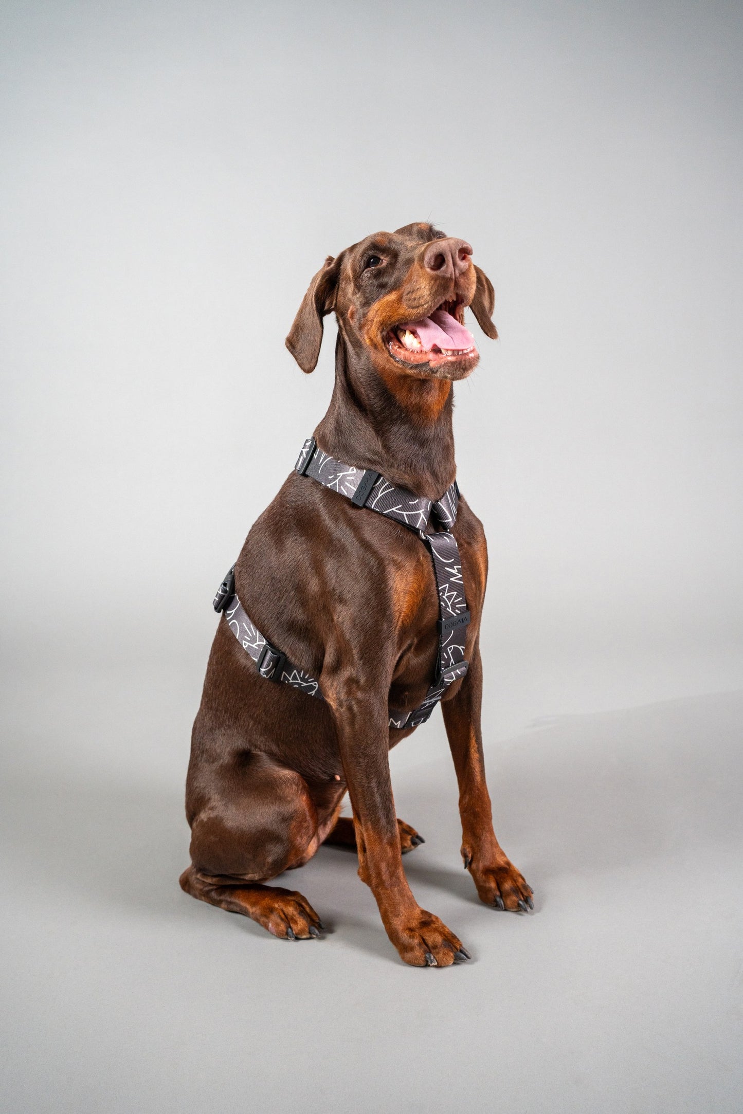 Y-Harness Dark Mode- Anatomical Dog Harness
