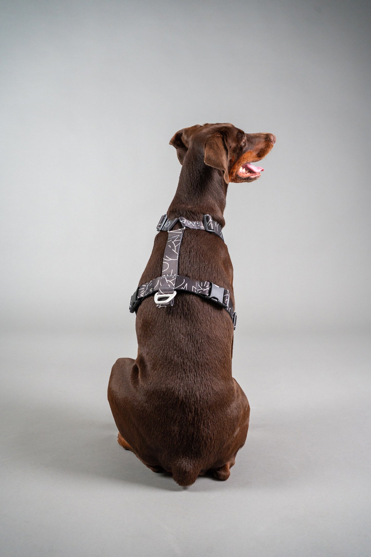 Y-Harness Dark Mode- Anatomical Dog Harness