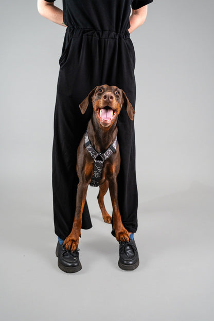 Y-Harness Dark Mode- Anatomical Dog Harness