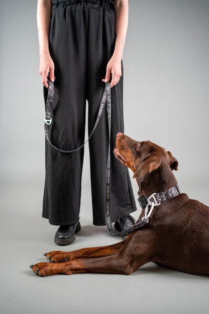 Dog Collar Dark Mode