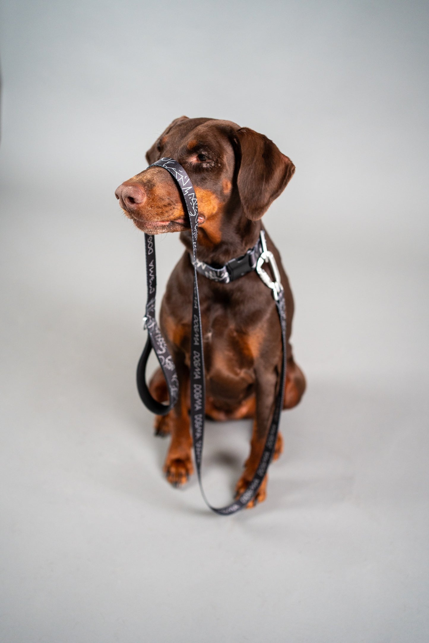 Dog Leash - Dark Mode