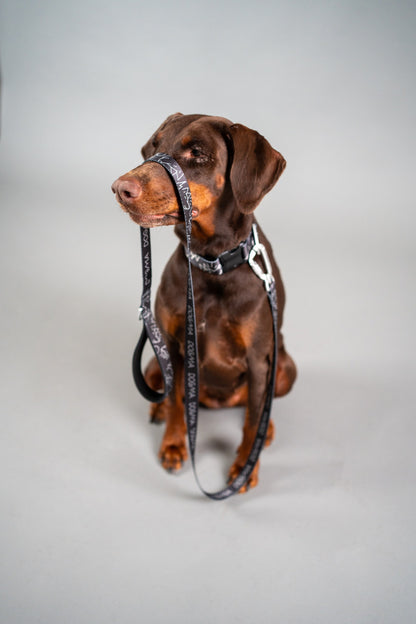 Dog Leash - Dark Mode