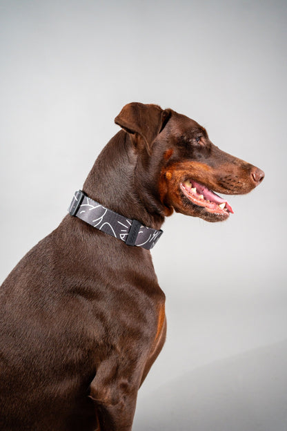 Dog Collar Dark Mode