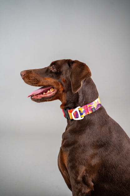 Dog Collar Tropical