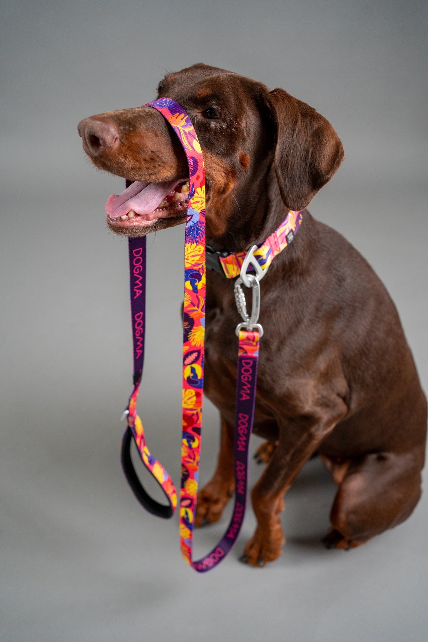 Dog Leash - Tropical
