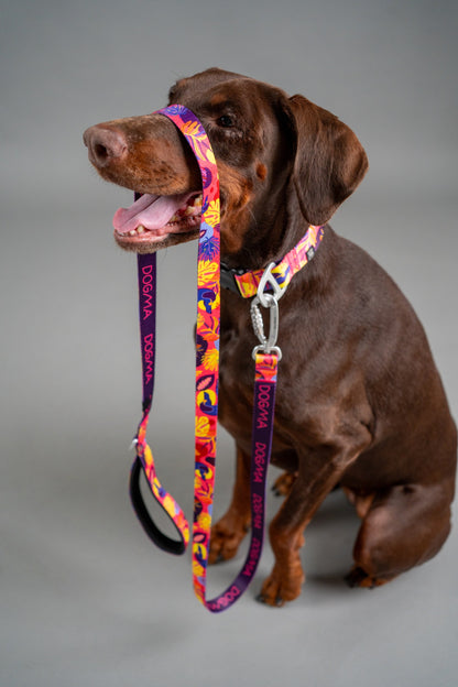 Dog Leash - Tropical