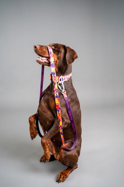 Dog Leash - Tropical