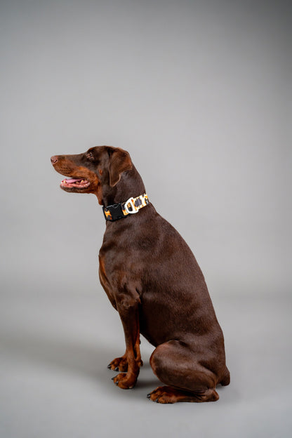 Dog Collar Classic Cheetah