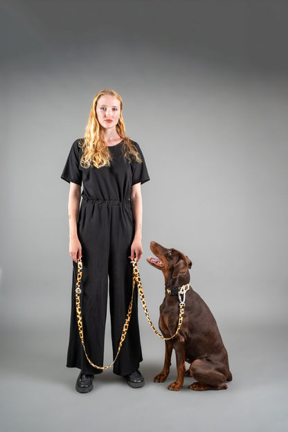 Dog Leash - Classic Cheetah