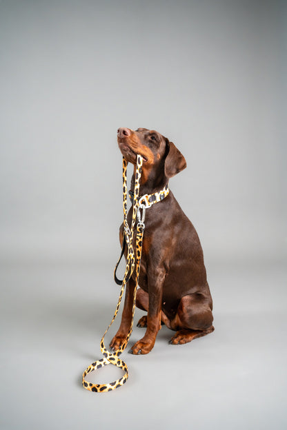 Dog Leash - Classic Cheetah