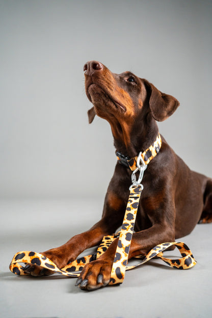 Dog Leash - Classic Cheetah
