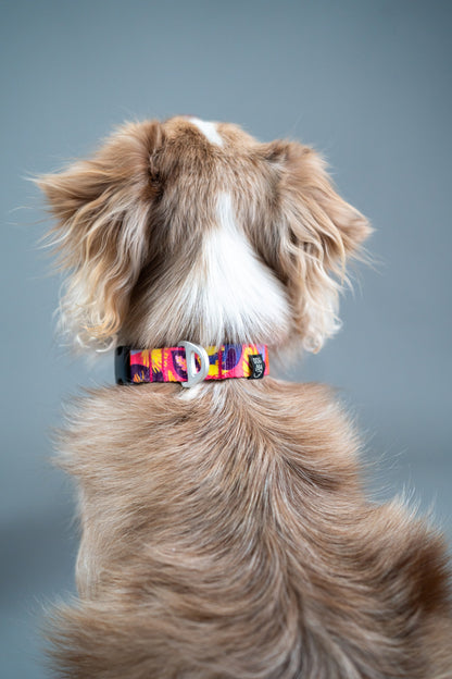 Dog Collar Tropical