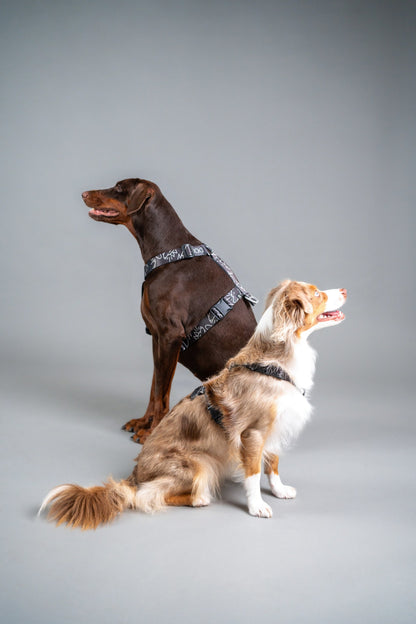 Y-Harness Dark Mode- Anatomical Dog Harness