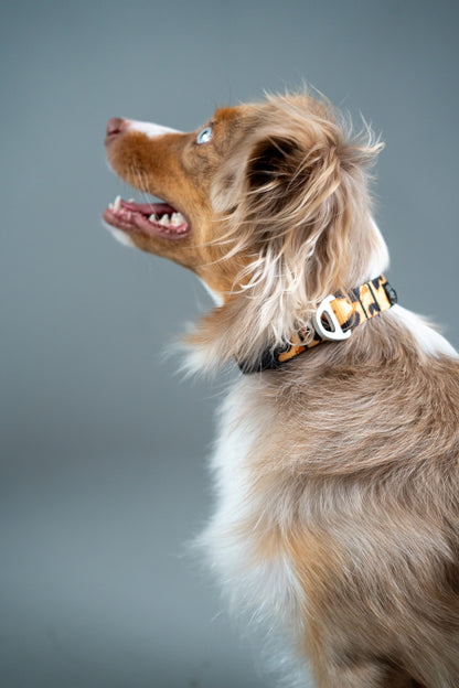 Dog Collar Classic Cheetah