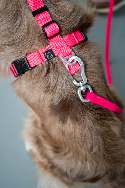 Y-Harness Pink Sorbet - Anatomical Dog Harness