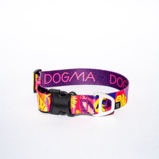 Dog collar with colorful design and 'DOGMA' branding on a white background