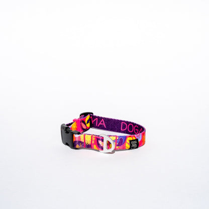 Colorful dog collar with text on a white background