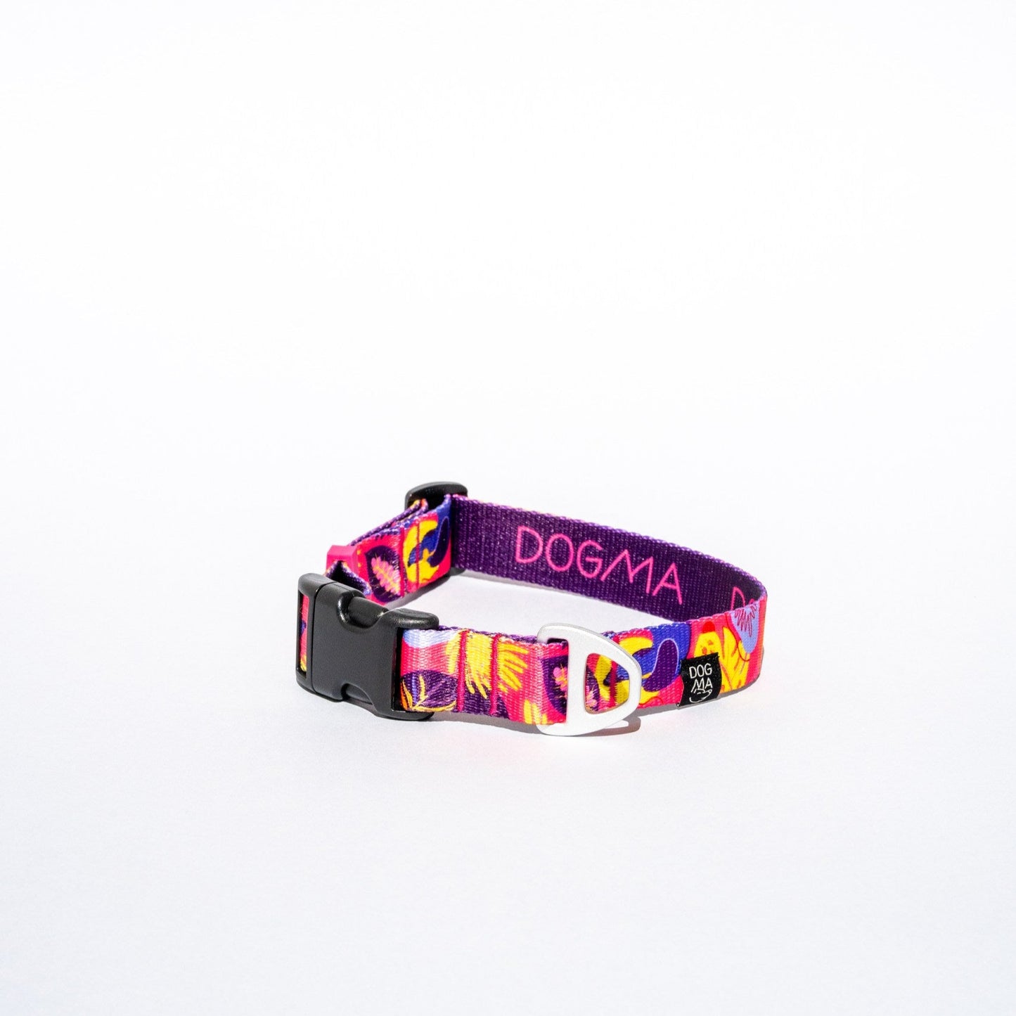Colorful dog collar with a brand name on a white background