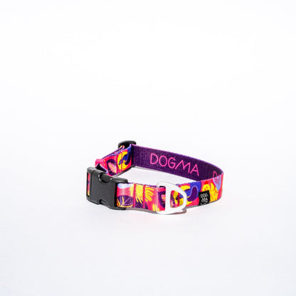 Colorful dog collar with a brand name on a white background