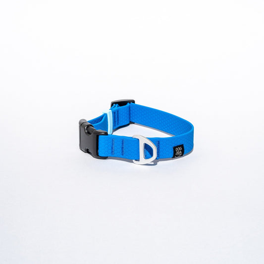 Blue dog collar with black buckle on a white background