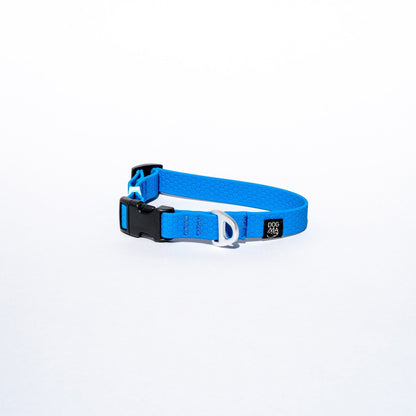 Blue dog collar on a white background