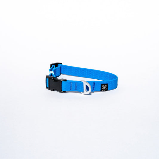 Blue dog collar on a white background