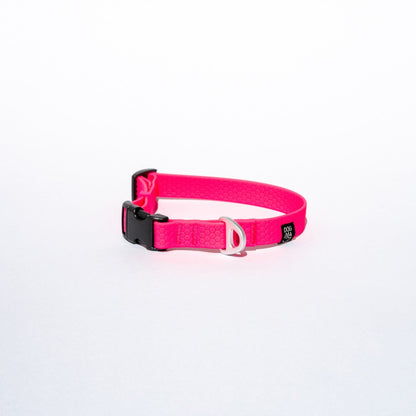 Pink dog collar with a black buckle on a white background