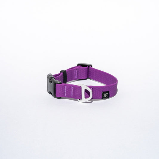 Purple dog collar with a black buckle on a white background