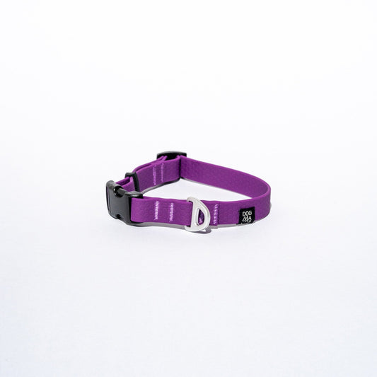 Purple dog collar with a black buckle on a white background